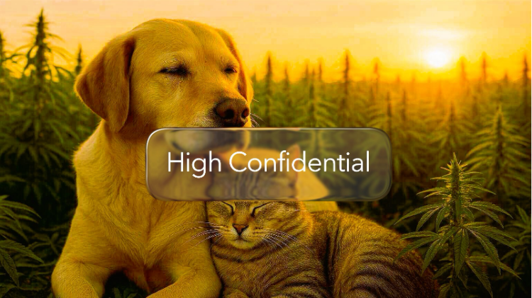 cbd pentru caini si pisici